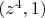 $(z^4, 1)$ $(z^4, 1)$
