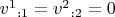 $v^1{}_{:1}=v^2{}_{:2}=0$ $v^1{}_{:1}=v^2{}_{:2}=0$