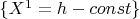 $\{X^1=h-const\}$