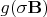 $g(\mathbf{\sigma B})$