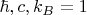 $\hbar,c,k_B=1$