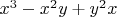 $x^3 -x^2y+y^2x$