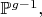 $\mathbb{P}^{g-1},$
