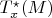 $T^{\star}_{x} (M)$
