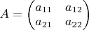 $A = \begin{pmatrix}
a_{11} & a_{12} \\
a_{21} & a_{22}
\end{pmatrix}$